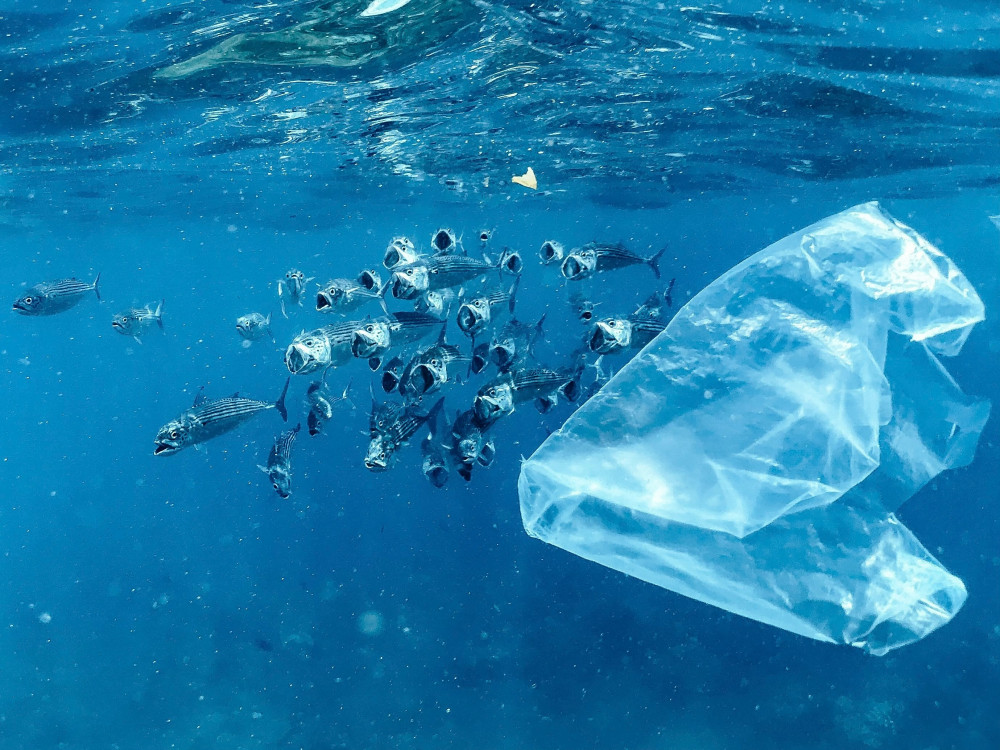 Plastikverbrauch reduzieren